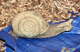 Jarní výstava 2019