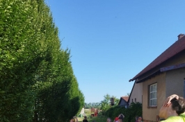 IMG-20230718-WA0028