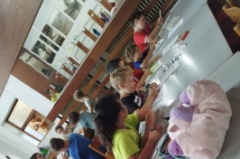 IMG-20230718-WA0034