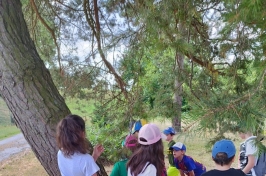 IMG-20230720-WA0044