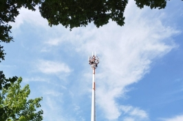 IMG-20230721-WA0038