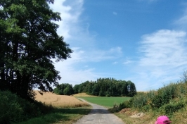 IMG-20230721-WA0080