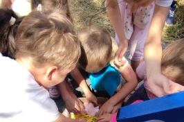 IMG-20230721-WA0088