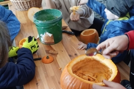 Dýně05