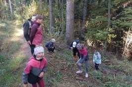 IMG-20241021-WA0085