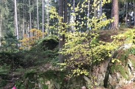 Výlet25
