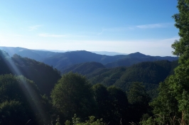20190704_072624