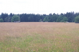 20190709_103234