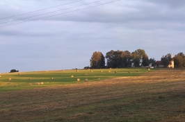 20190709_202824
