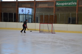 Bruslení 2016