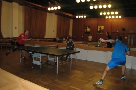 Pinec cup 2013