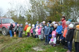 Školní rok 2019/2020