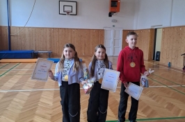 Družina hledá talent