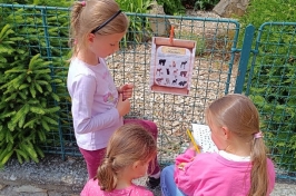 IMG_20250603_134523