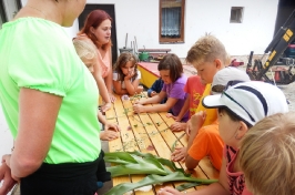 Školní rok 2015/2016